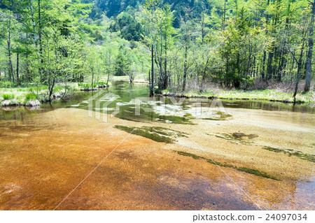 Tanikeike（長野縣Kamikochi風景·初夏） 24097034