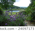 English garden (Cotswolds' s Kitty Coat Garden) 24097173