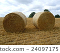 English wheat straw roll 2 in England England 24097175