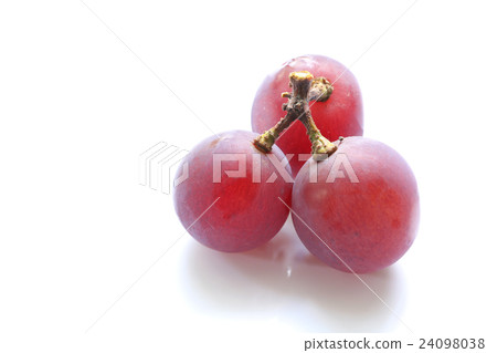 Grapefruit White background Grapefruit White background 24098038