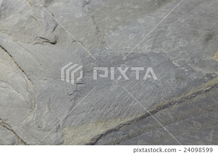 texture texture 24098599