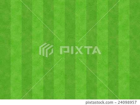 Lawn 24098957