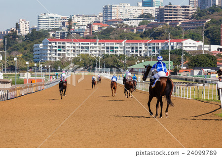 Race Horse Jockey Track Race Horse Jockey Track 24099789