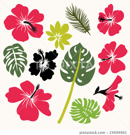 Stock Illustration: Set of tropical leaves and flowers