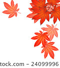 Autumn leaves 24099996