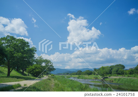 Kamogawa summer scenery color Kamogawa summer scenery color 24101758