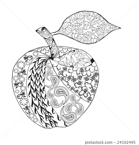 Vector Monochrome Apple zentangle style  24102495