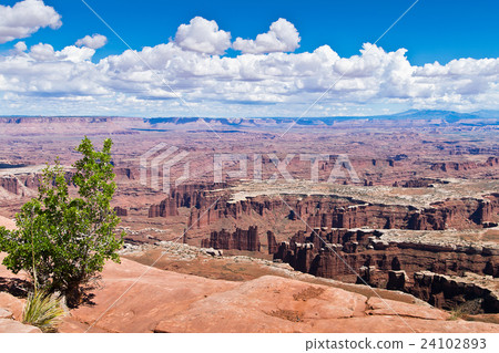 Canyonlands National Park in Utah, North America 24102893