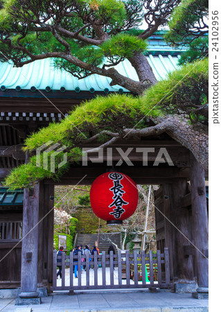 Kamakura Hase-dera的春天春天的大門 Kamakura Hase-dera的春天春天的大門 24102956