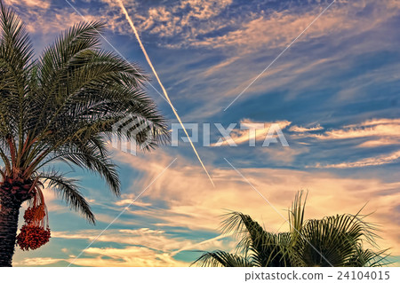 Fighter aircraft fuel trace in dramatic sky Fighter aircraft fuel trace in dramatic sky 24104015