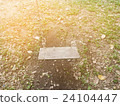 Swing in the lawn abstract color background 24104447