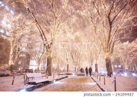 光之盛宴 光之盛宴 24104487