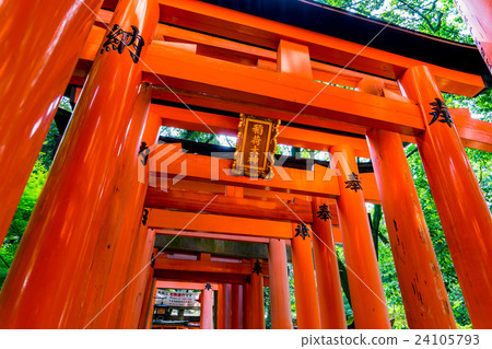 [Kyoto Prefecture] Fushimi Inari Shrine 24105793