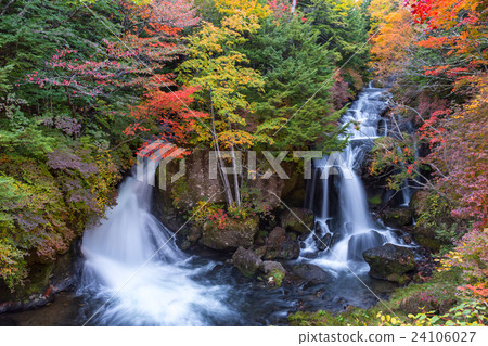 栃木縣日光市Ryuu Taki瀑布10月 24106027