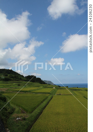 Blue sky and rice terrace 24106230