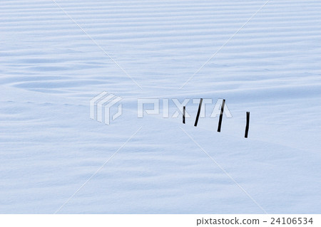 Morning snowy surface 24106534