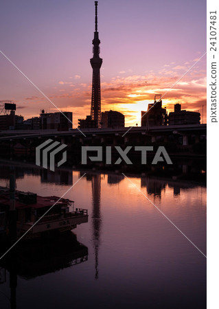 Sky tree and morning glow 24107481