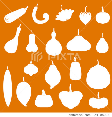 Squashes set on orange background Squashes set on orange background 24108002