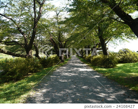 Kitakami Exhibition Katsuchi 24108427