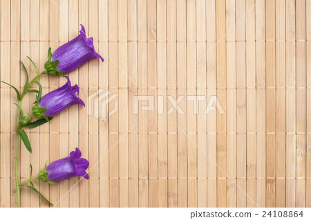 Ultramarine colored bellflower on beige bamboo 24108864
