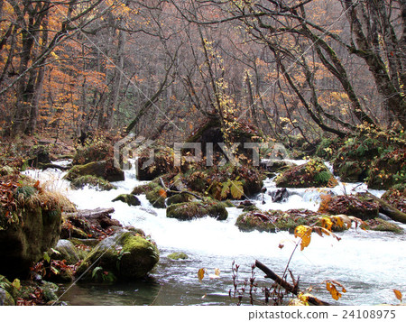 Oirase stream Oirase stream 24108975