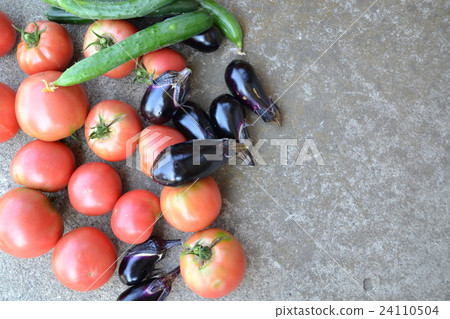 Summer vegetable Summer vegetable 24110504