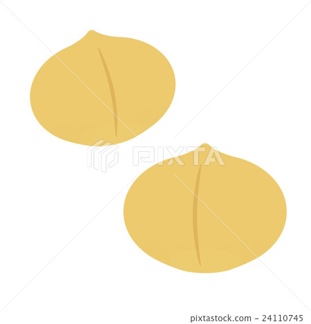 Macadamia nut 24110745