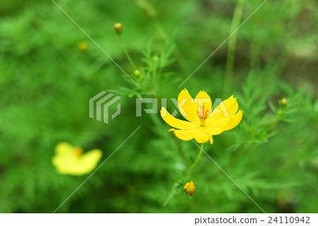 VIDENCE（冬季宇宙） 24110942