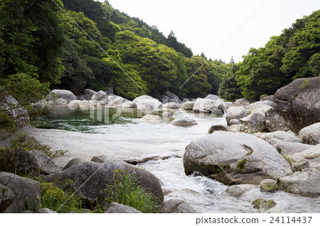 Yakushima Yokogawa Valley Yakushima Yokogawa Valley 24114437