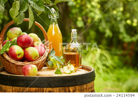 Basket of apples on background orchard on barrel. Basket of apples on background orchard on barrel. 24114594