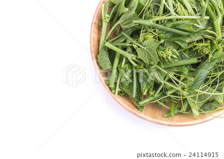 圖庫照片: fresh green chayote leaf isolated on white background