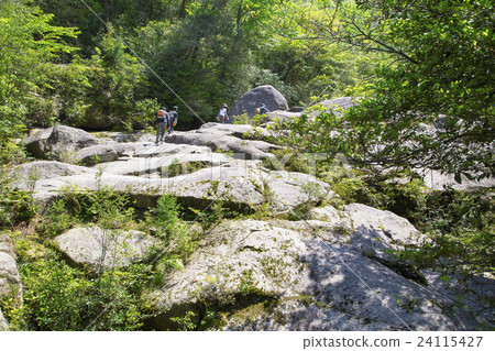 屋久島Shiratani雲水石休息岩石 24115427