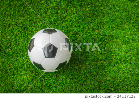 Soccer ball on green grass . 24117122