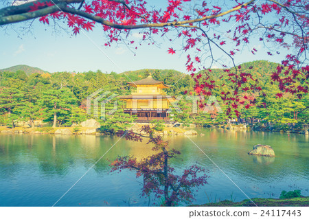 Kinkakuji Temple " The Golden Pavilion" in Kyoto, Japan ( Filtered image processed vintage effect. ) 24117443