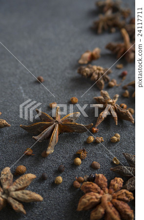 Star aniseed 24117711