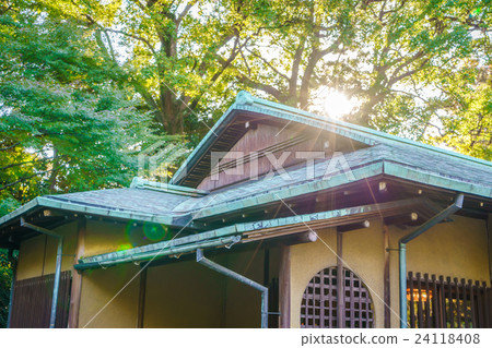 Beautiful Imperial Palace in Tokyo, japan 24118408