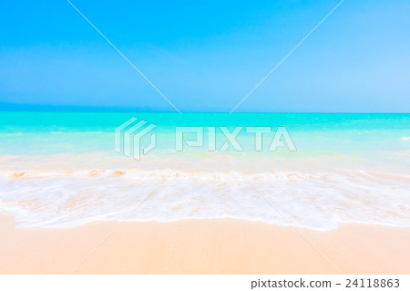 Sea and beach 24118863