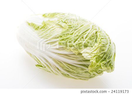 White lettuce or White cabbage White lettuce or White cabbage 24119173