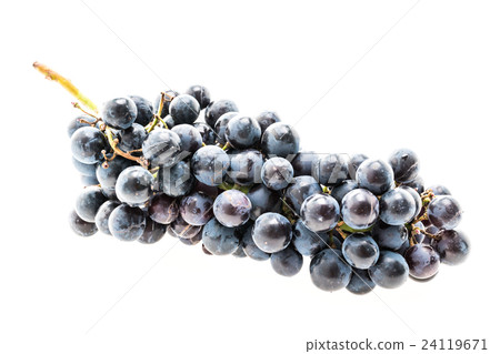 Grape 24119671