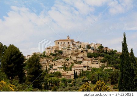 仰望Gordo社區 24120021