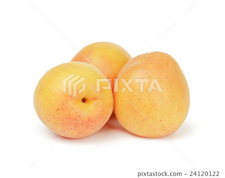 three ripe apricot fruits isolated 24120122