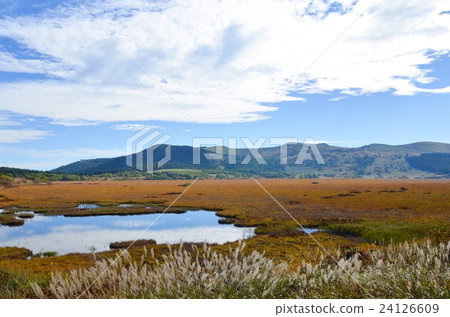 Yaoshima Mogara在秋天 Yaoshima Mogara在秋天 24126609