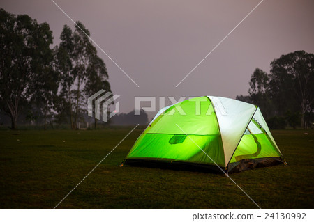 Camping in forest at night Camping in forest at night 24130992