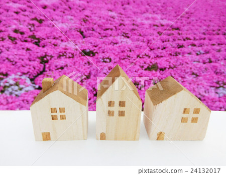 Home and life and flowers 24132017