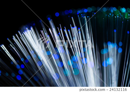 Bunch of optical fibres Bunch of optical fibres 24132116