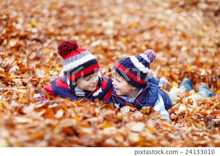 Two little kid boys lying in autumn leaves, in Two little kid boys lying in autumn leaves, in 24133010