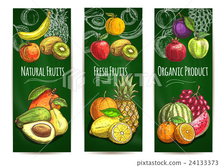 Organic fresh juicy fruits sketch poster 24133373