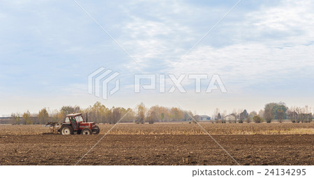 Red Tractor Plowing in Autumn 24134295