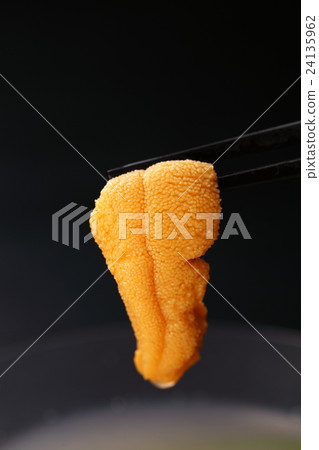 A 24135962