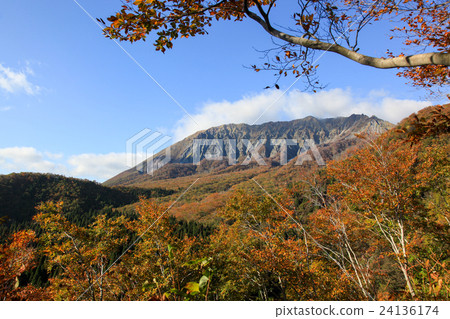 Oyama in autumn - KEKEN HIGH PASS 24136174